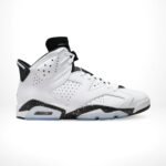 Air Jordan 6 Retro Reverse Oreo Black White