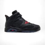 Air Jordan 6 Retro Premio Bin23