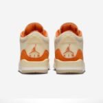 Air Jordan 3 Retro TEX Fossil Starfish - Image 5