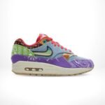 Air Max 1 SP Concepts Far Out Special Box Wild Violet Multi
